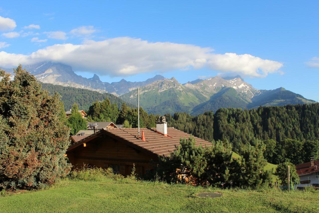 Chalet Le Slalom Arveyes Экстерьер фото