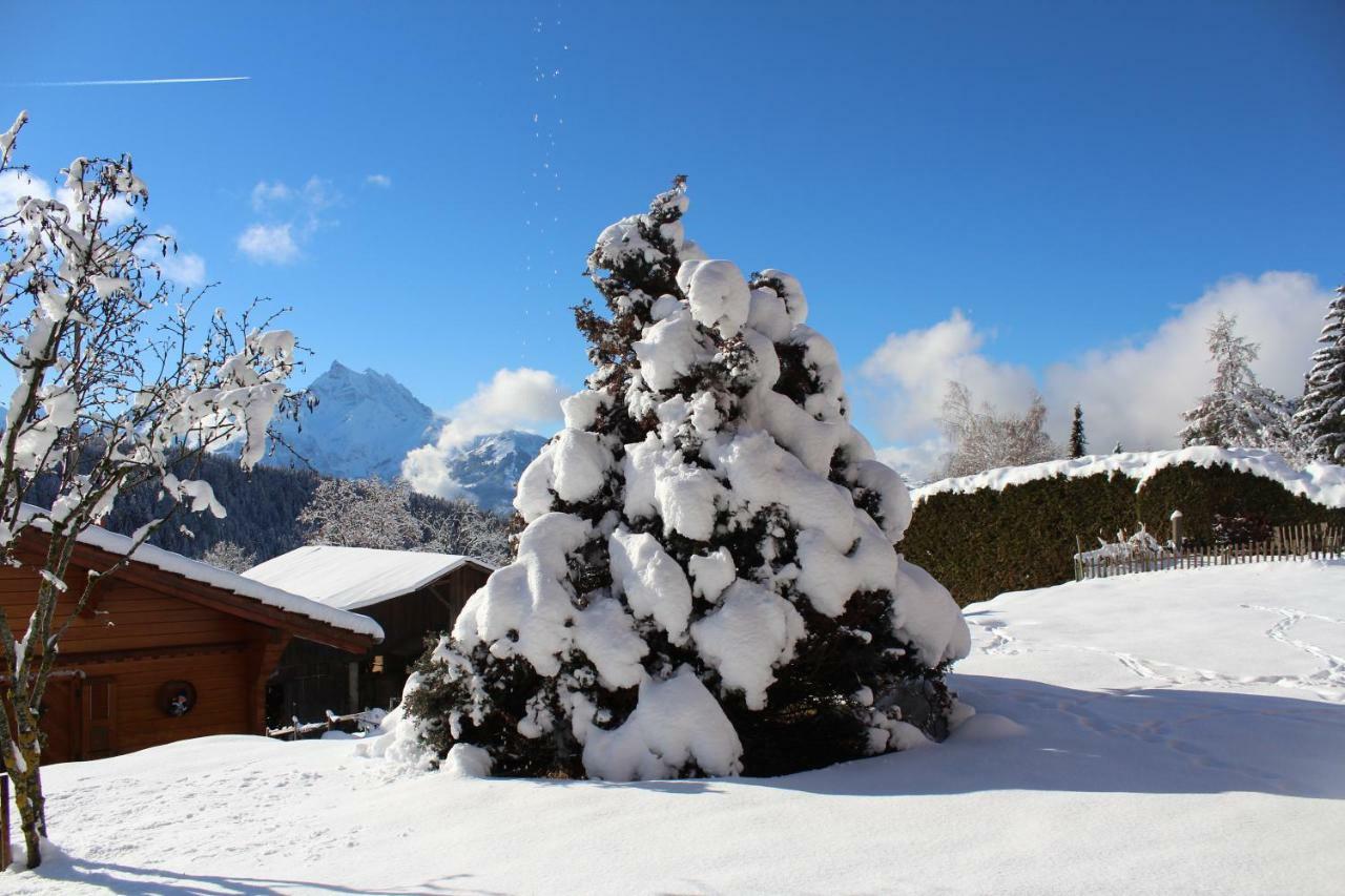 Chalet Le Slalom Arveyes Экстерьер фото