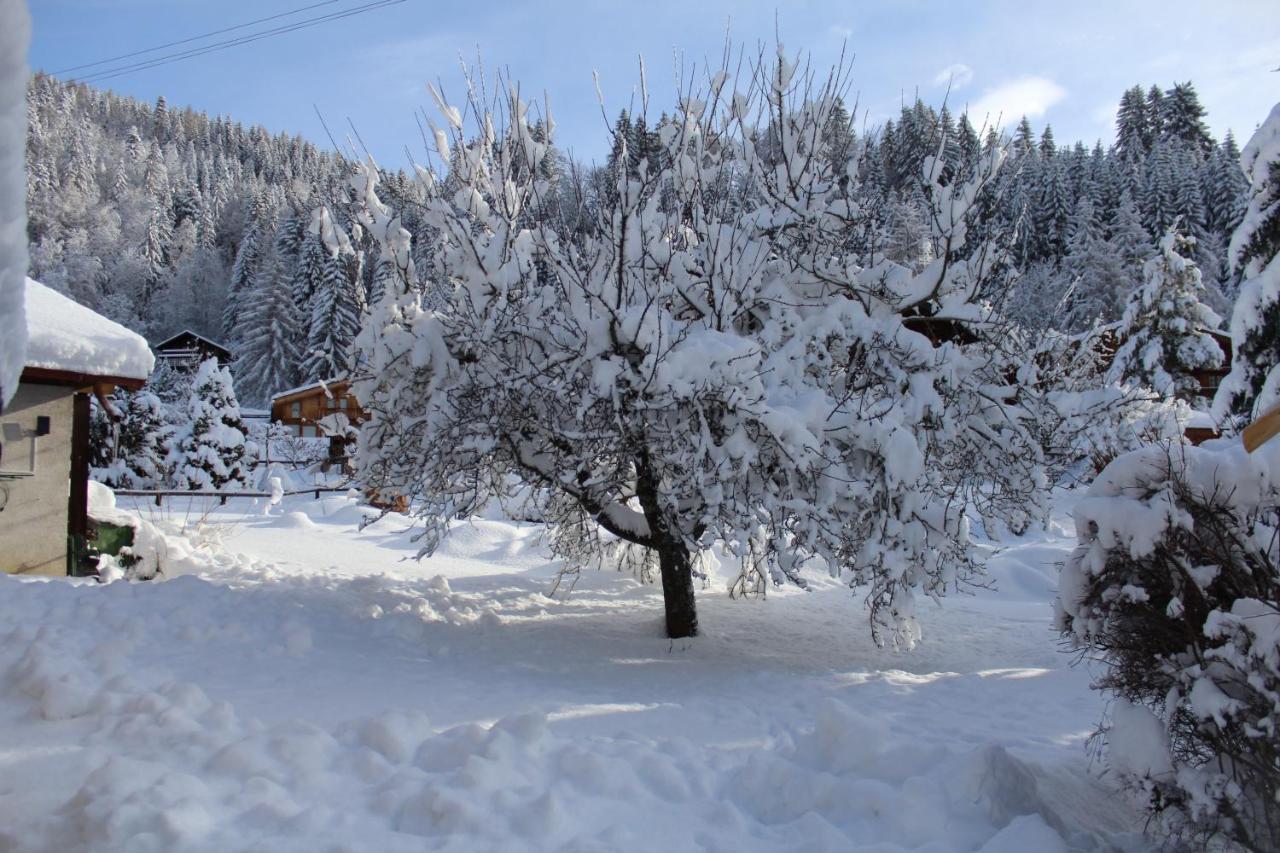 Chalet Le Slalom Arveyes Экстерьер фото